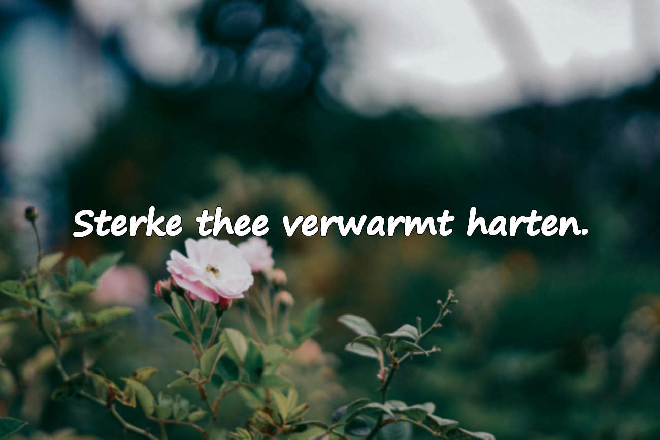 Citaten over thee
