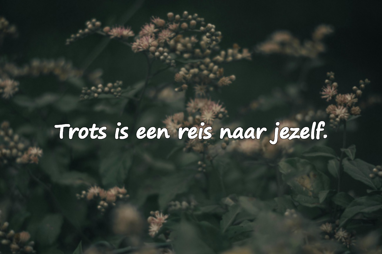 Citaten over trots