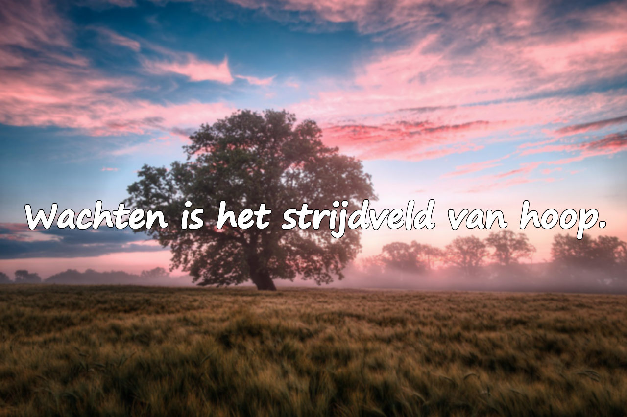 Citaten over wachten