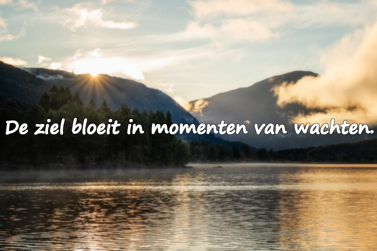 Citaten over wachten