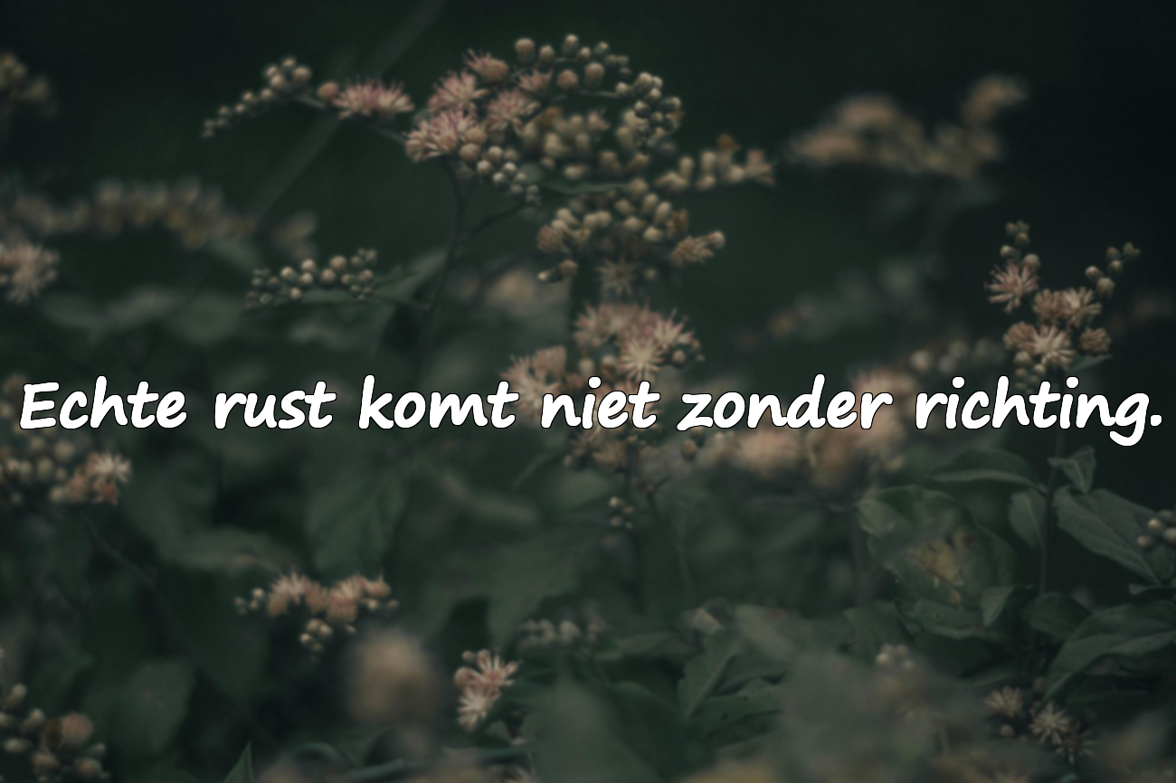 Citaten over werk, inspanning en doorzettingsvermogen