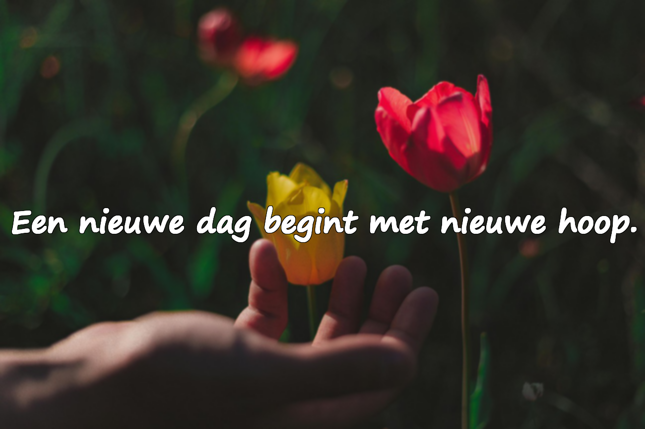 Citaten over zonsopgang