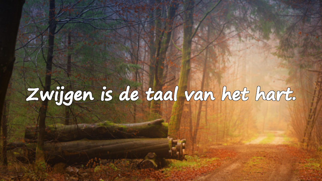 Citaten over zwijgen