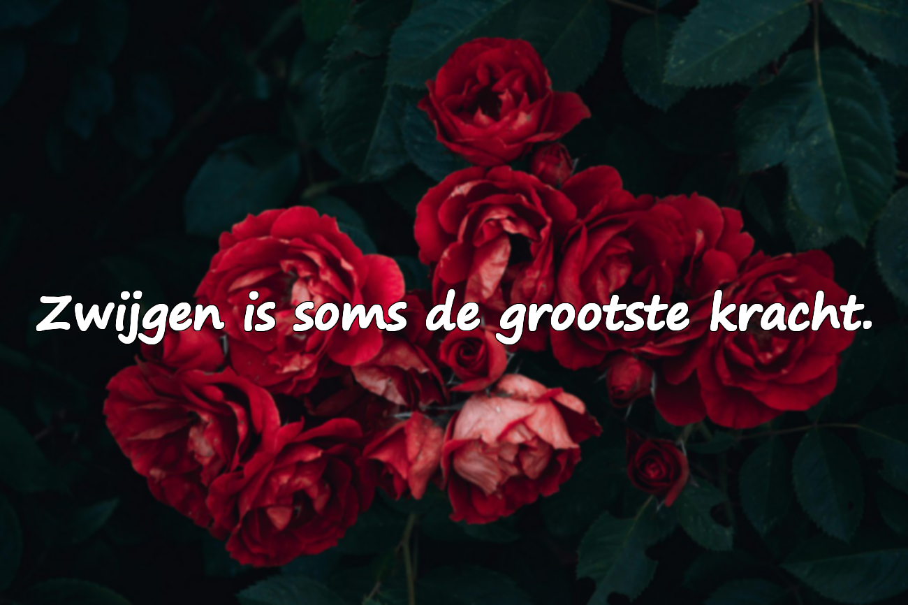 Citaten over zwijgen