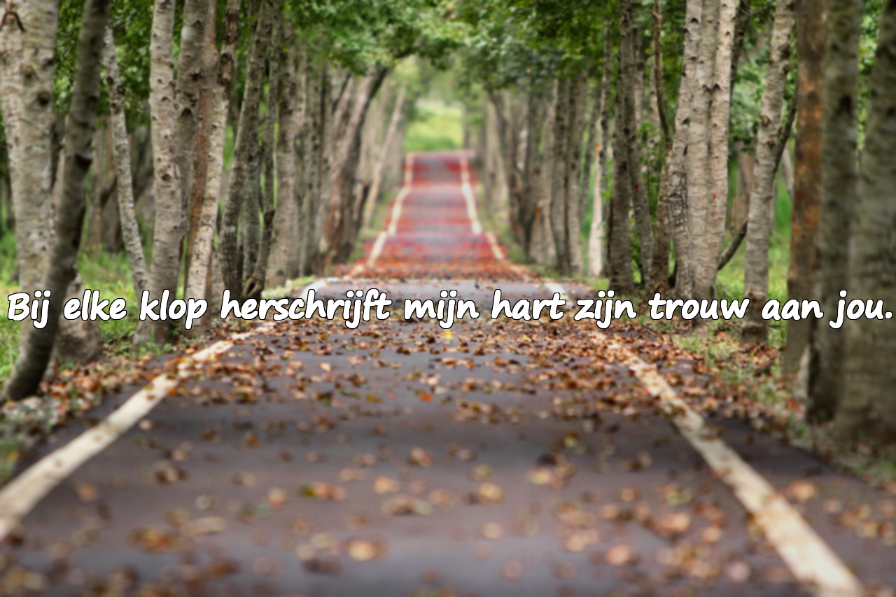 Citaten voor geliefde