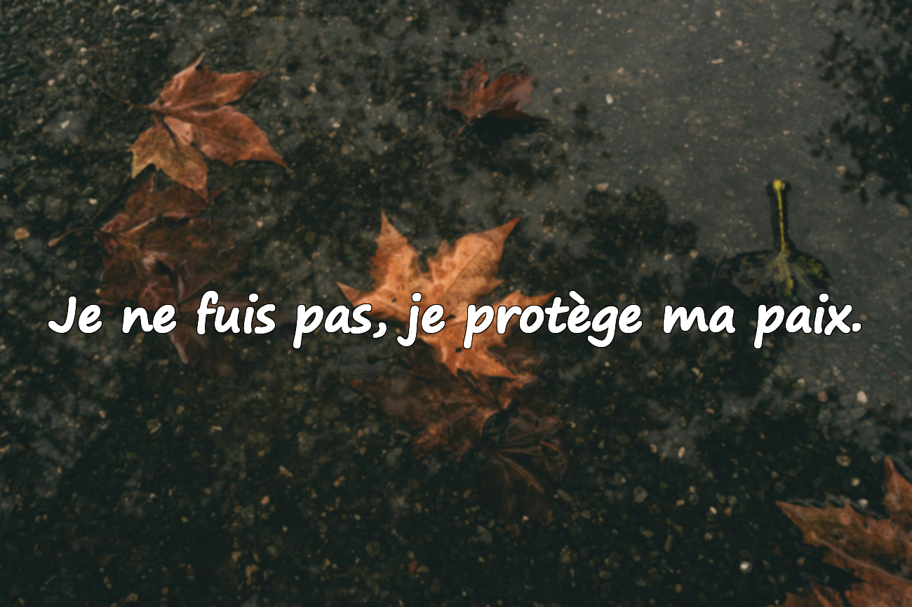 Citations Asociales