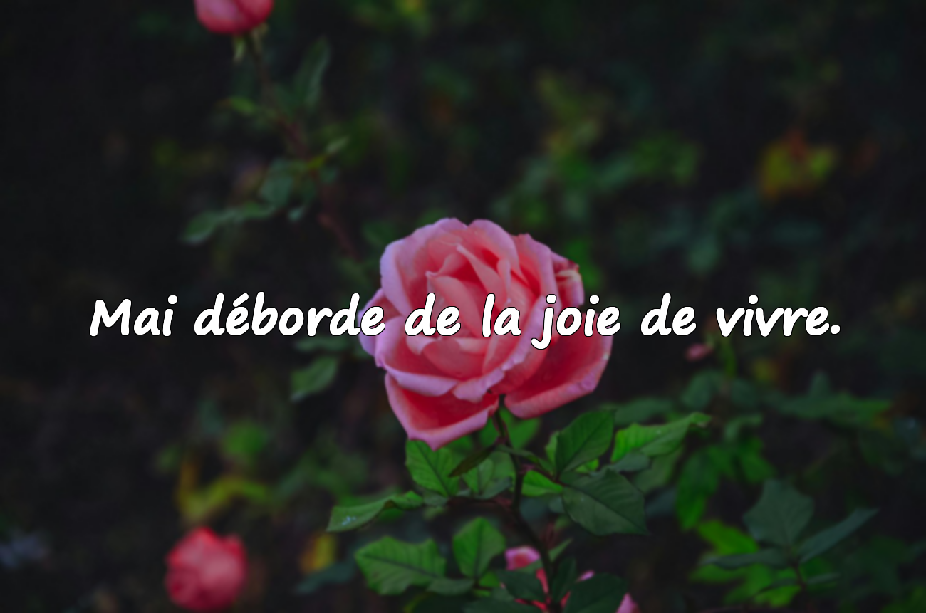 Citations Significatives sur Mai