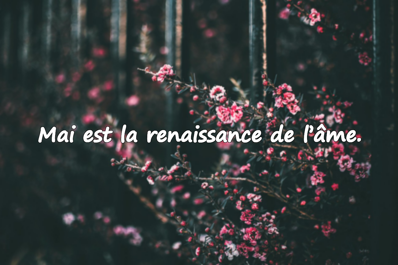 Citations Significatives sur Mai