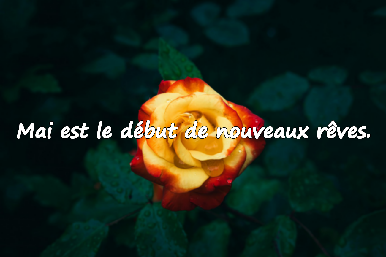 Citations Significatives sur Mai