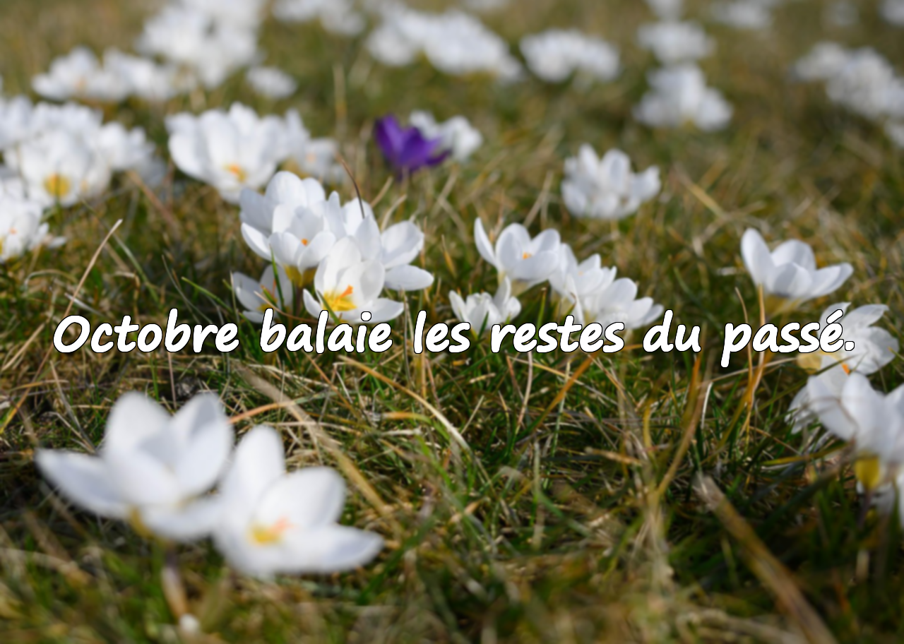 Citations Significatives sur le Mois d’Octobre