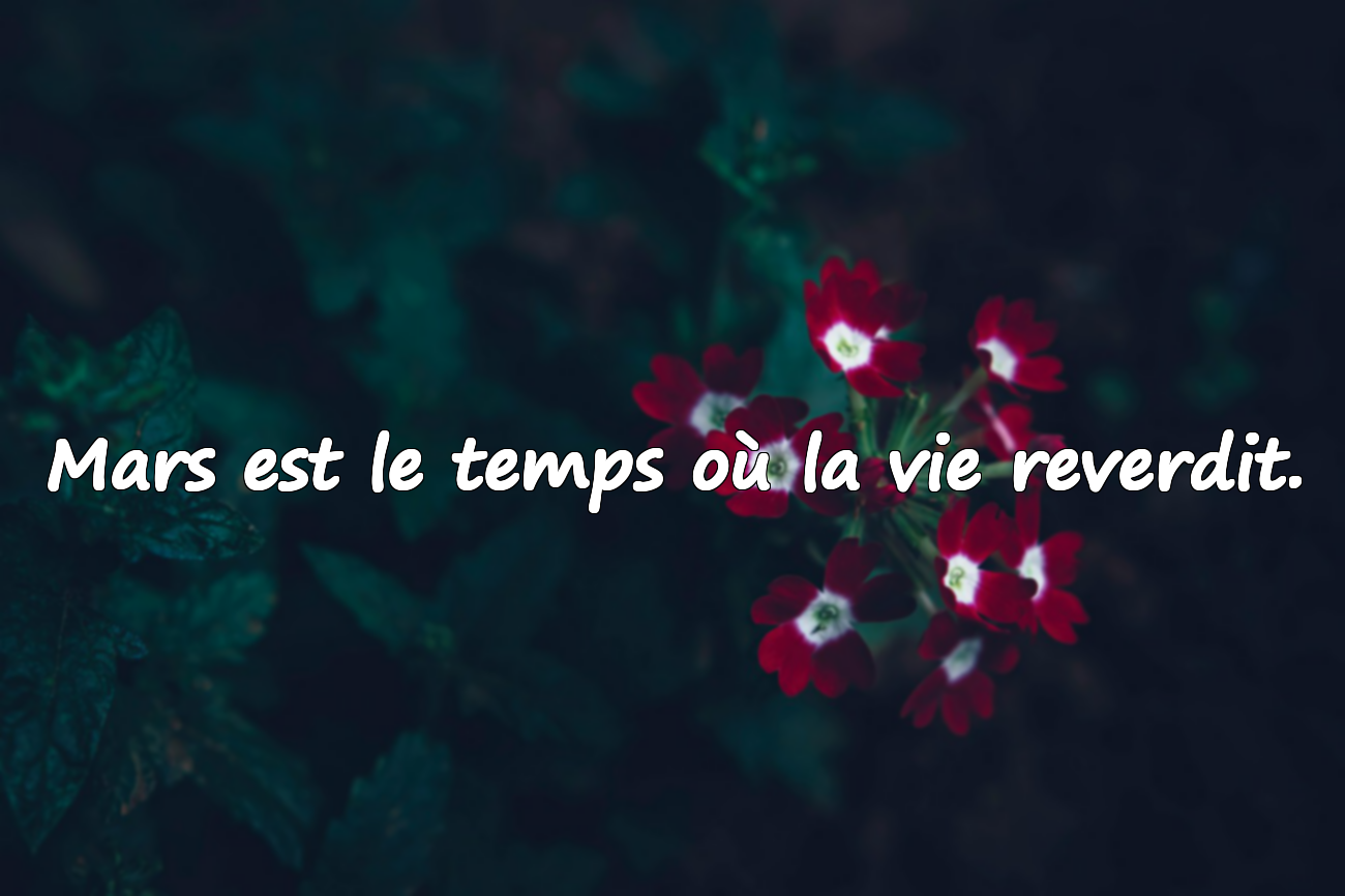Citations Significatives sur le Mois de Mars