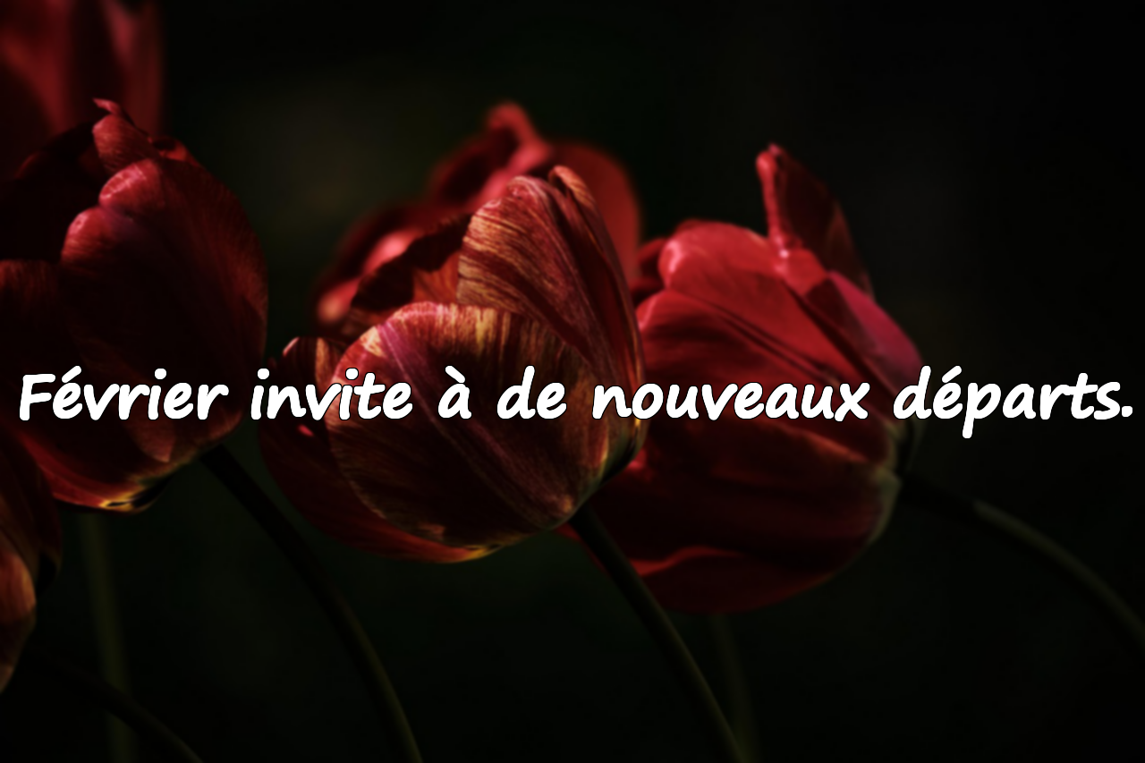Citations Significatives sur le Mois de Février