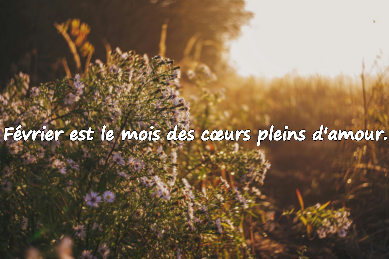 Citations Significatives sur le Mois de Février