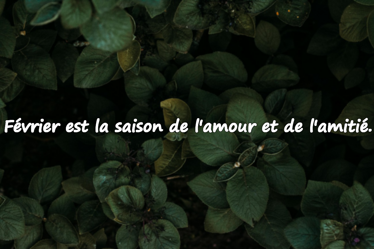 Citations Significatives sur le Mois de Février