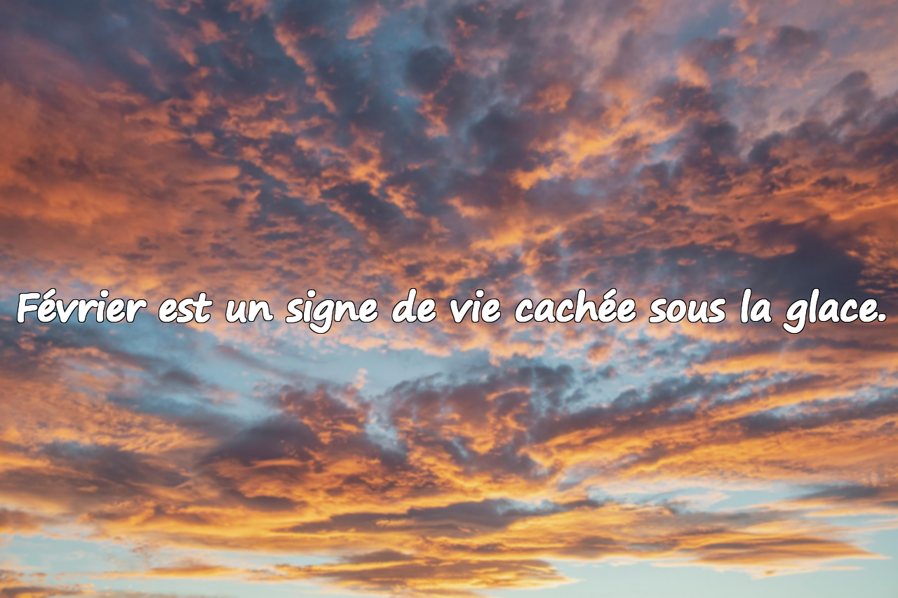 Citations Significatives sur le Mois de Février