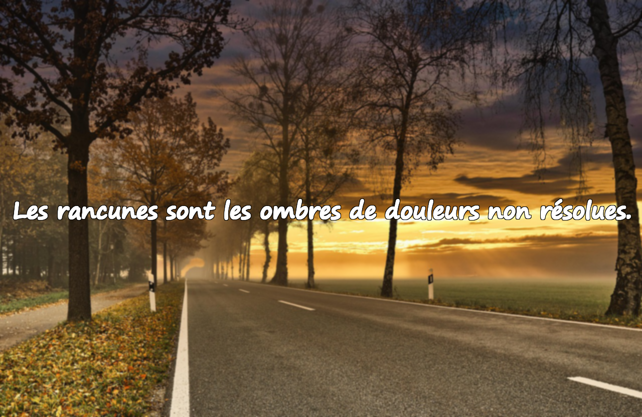 Les rancunes sont les ombres de douleurs non résolues.