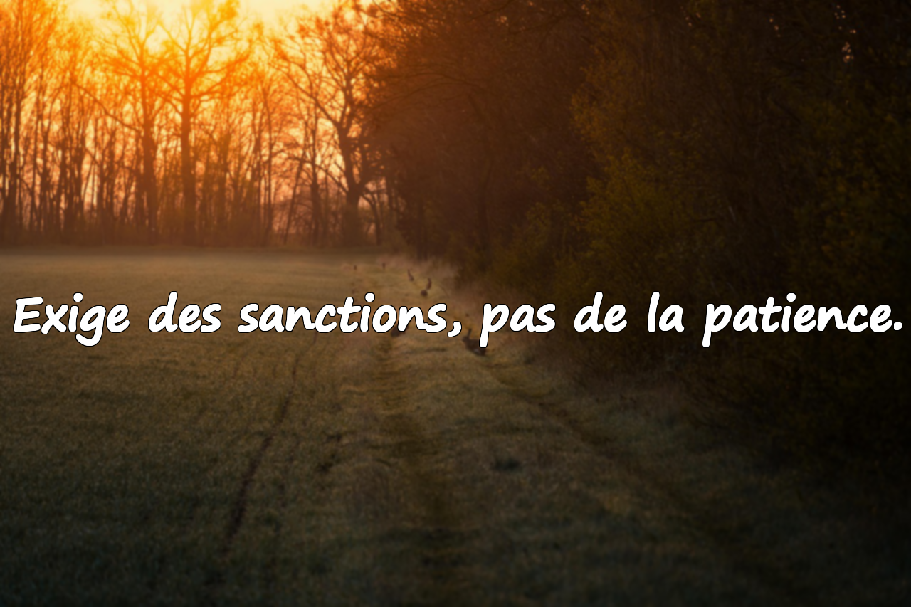 Citations contre les abus sexuels