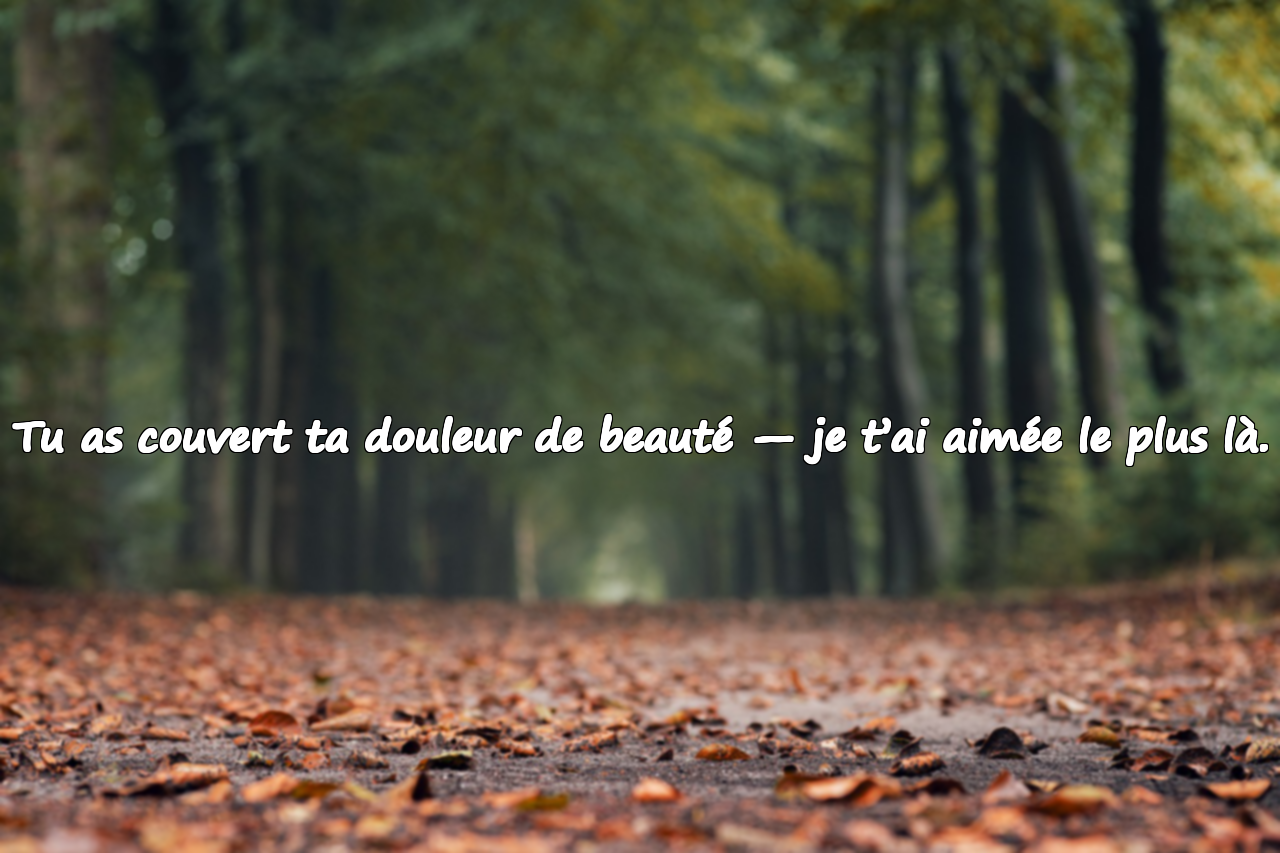 Tu as couvert ta douleur de beauté — je t’ai aimée le plus là.