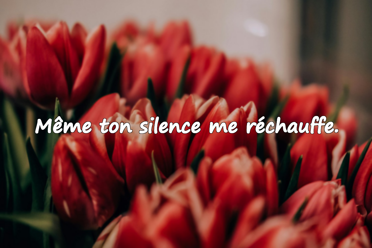 Même ton silence me réchauffe.
