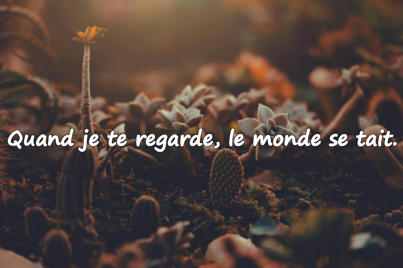 Citations d’Amour Émotionnelles