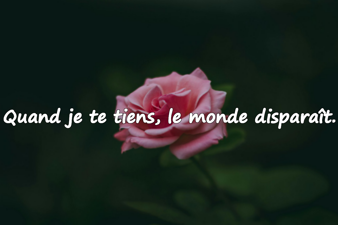 Citations d’Amour Émotionnelles