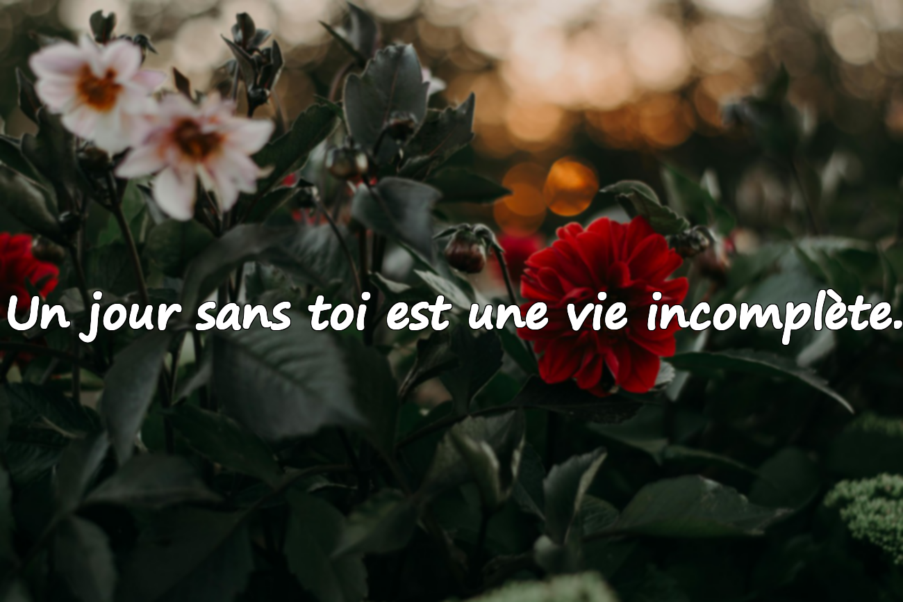 Citations d’Amour Émotionnelles