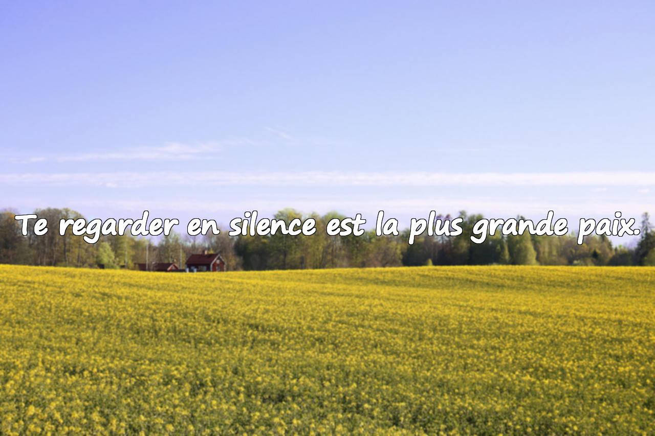 Citations d'amour platonique