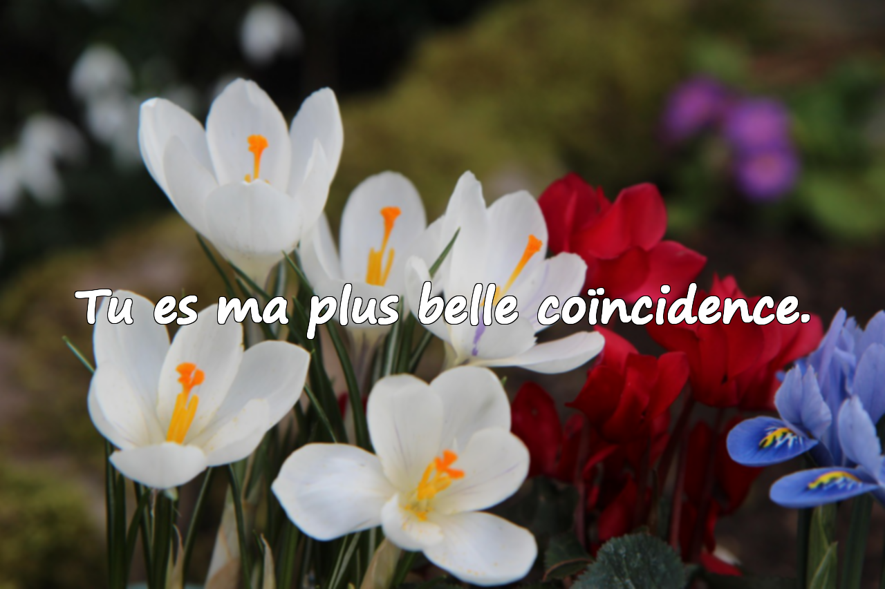 Citations d'amour pour l'être aimé