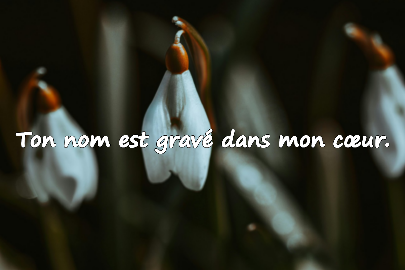Citations d'amour pour l'être aimé