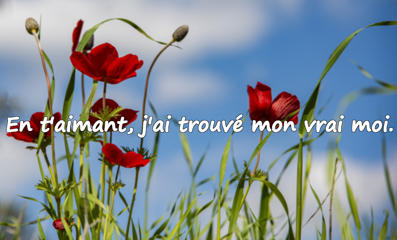 Citations d'amour significatives