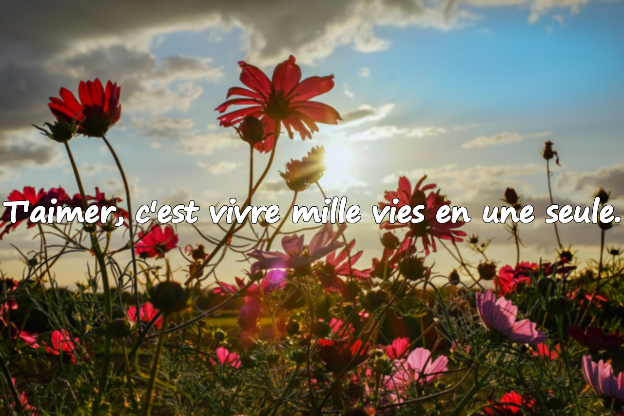Citations d'amour significatives