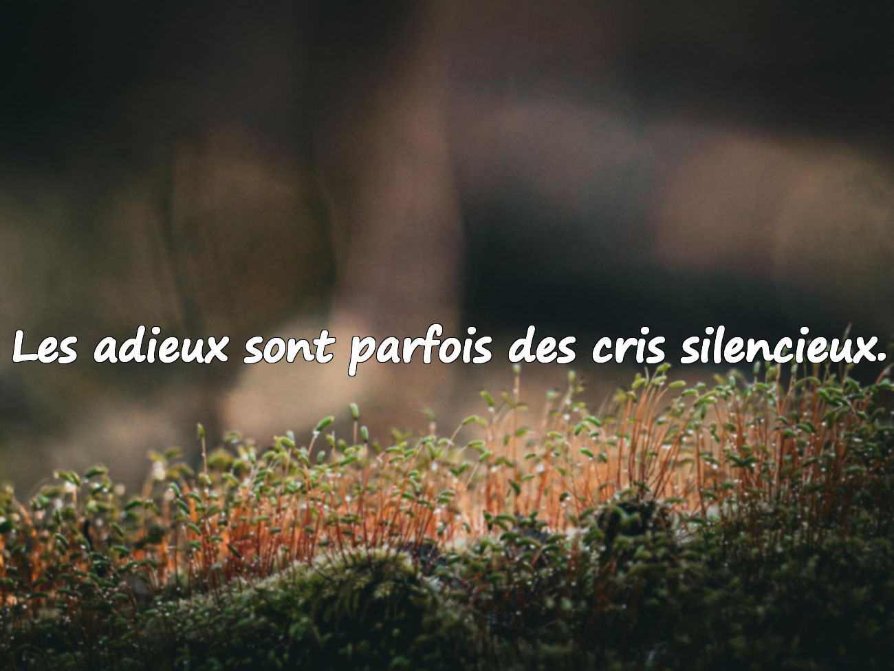 Citations d’adieu