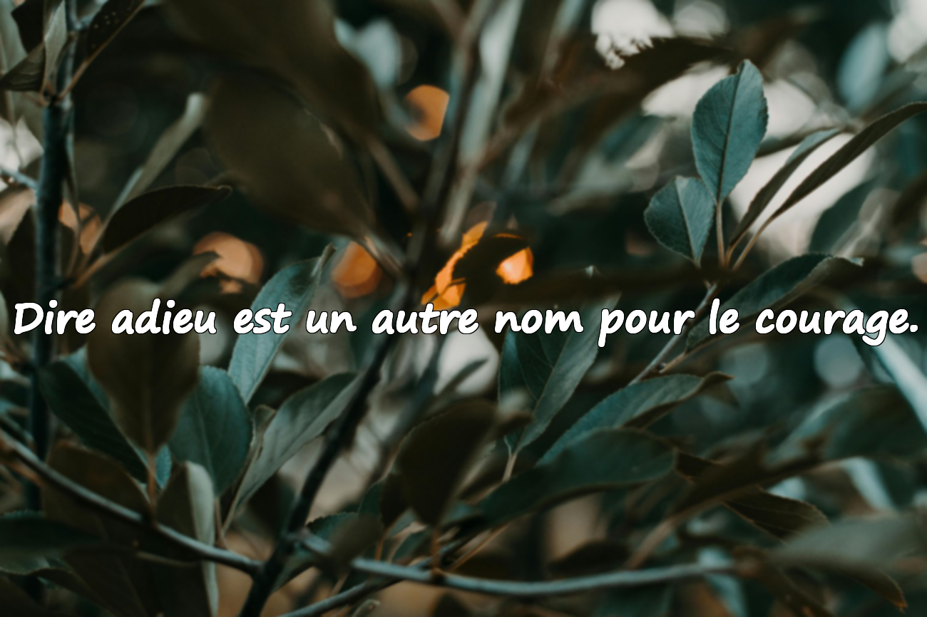 Citations d’adieu