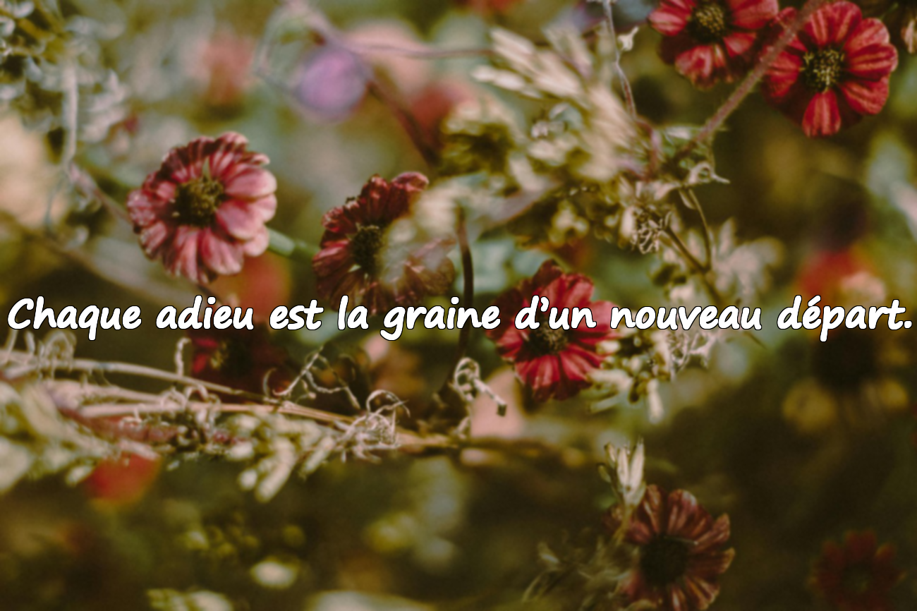 Citations d’adieu