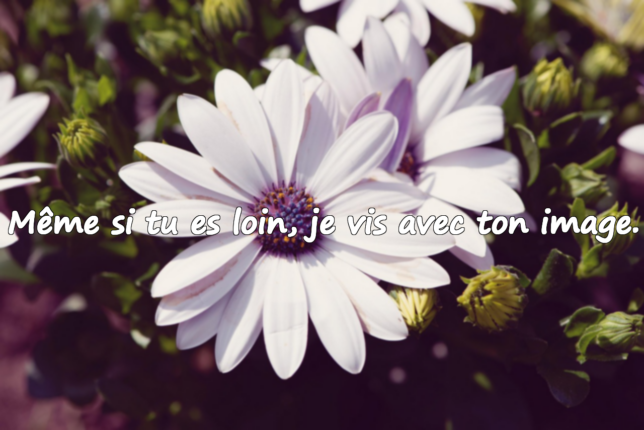 Même si tu es loin, je vis avec ton image.