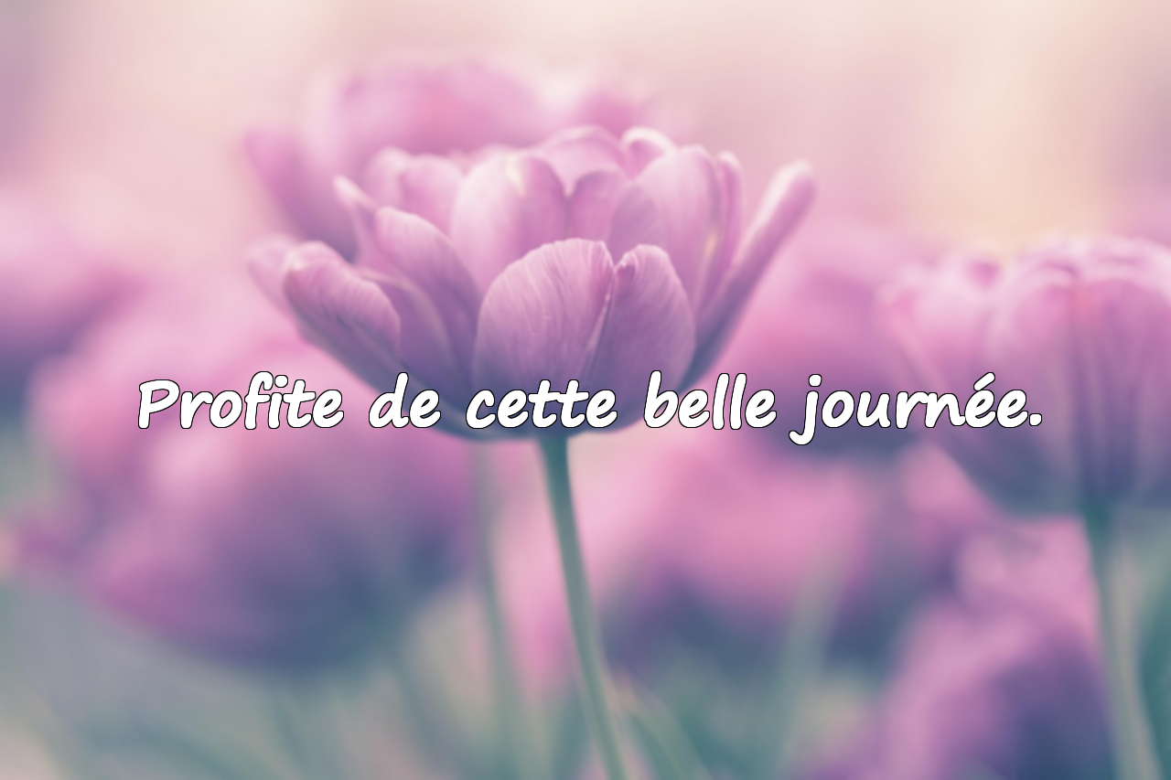 Citations du matin