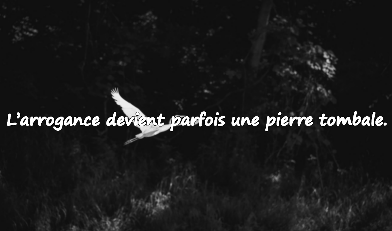 Citations indirectes sur un monde éphémère