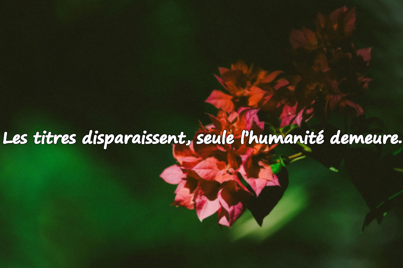 Citations indirectes sur un monde éphémère