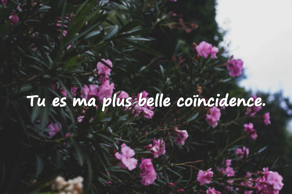 Citations murales – Thème amour