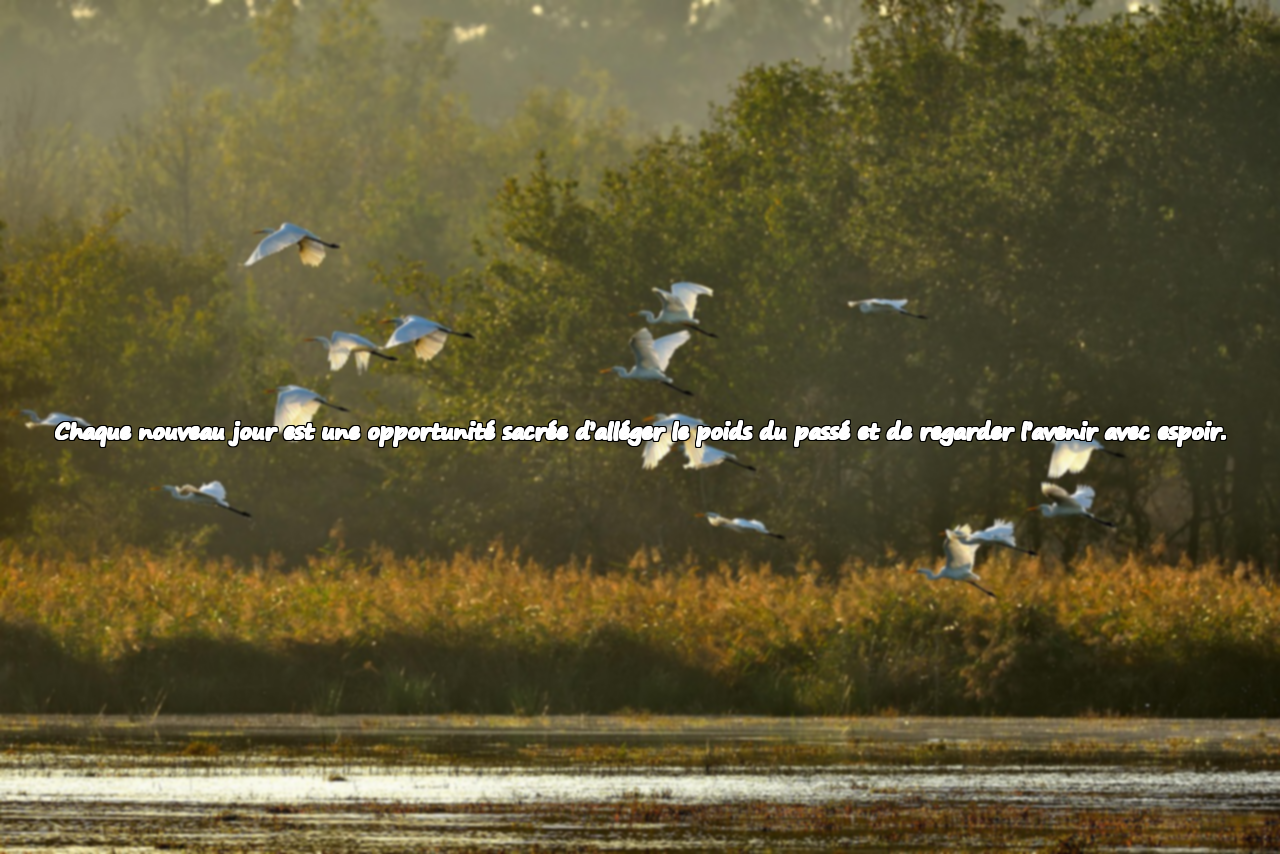 Citations profondes et significatives