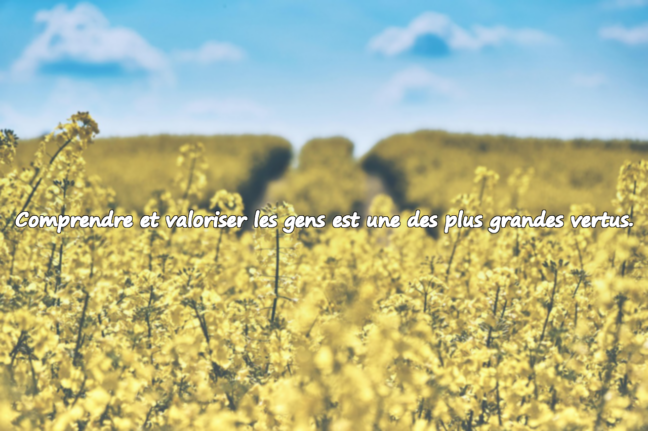 Comprendre et valoriser les gens est une des plus grandes vertus.