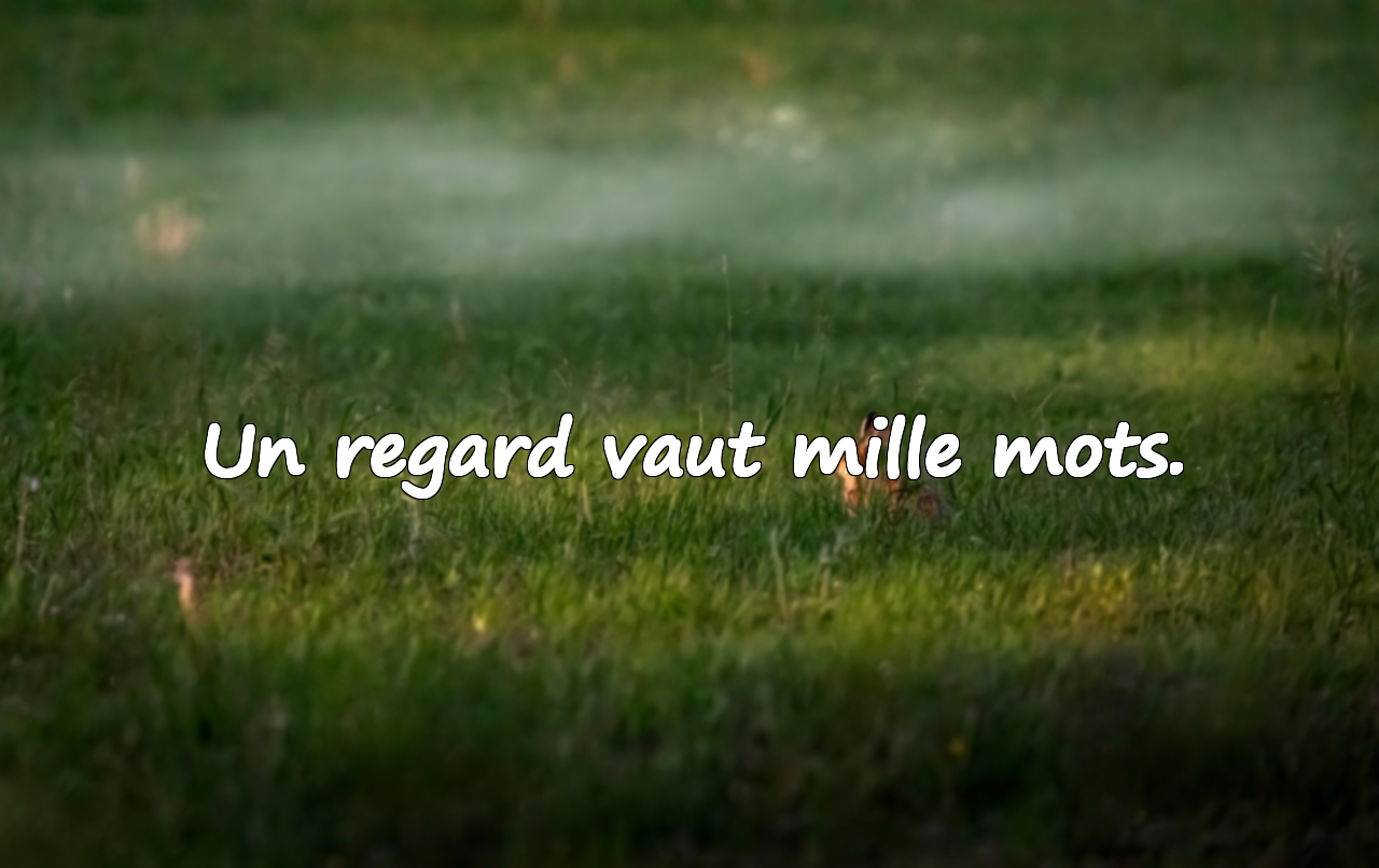 Un regard vaut mille mots.