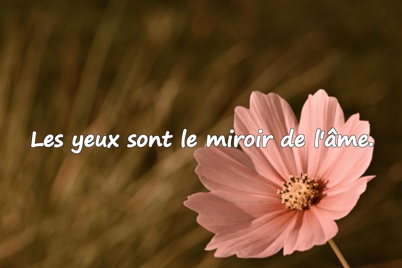 Citations significatives et belles sur les yeux