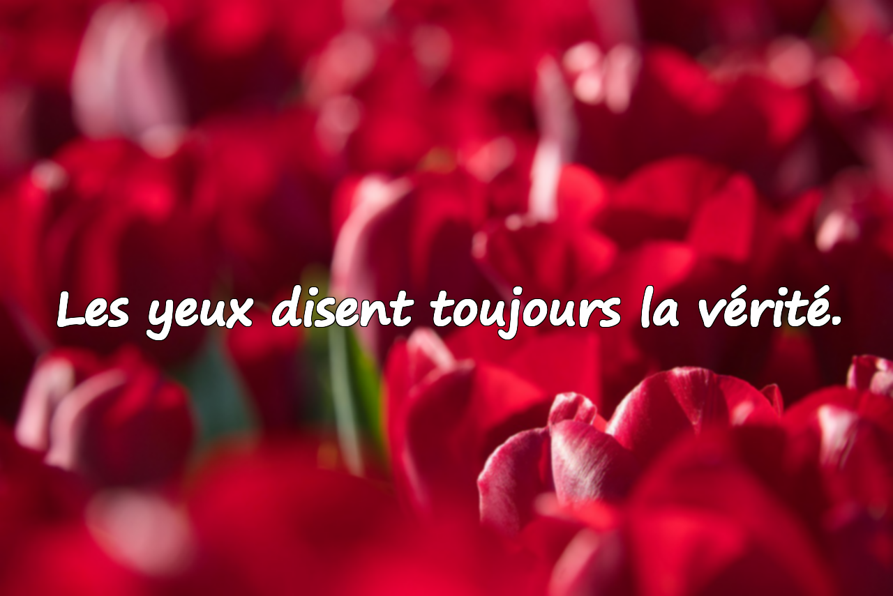 Citations significatives et belles sur les yeux