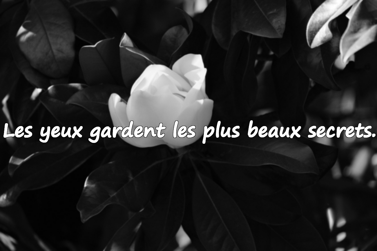 Citations significatives et belles sur les yeux