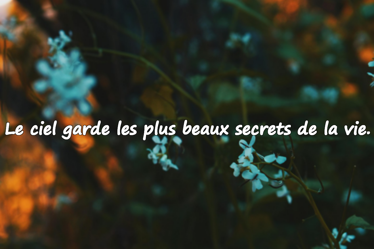 Citations significatives et belles sur le ciel
