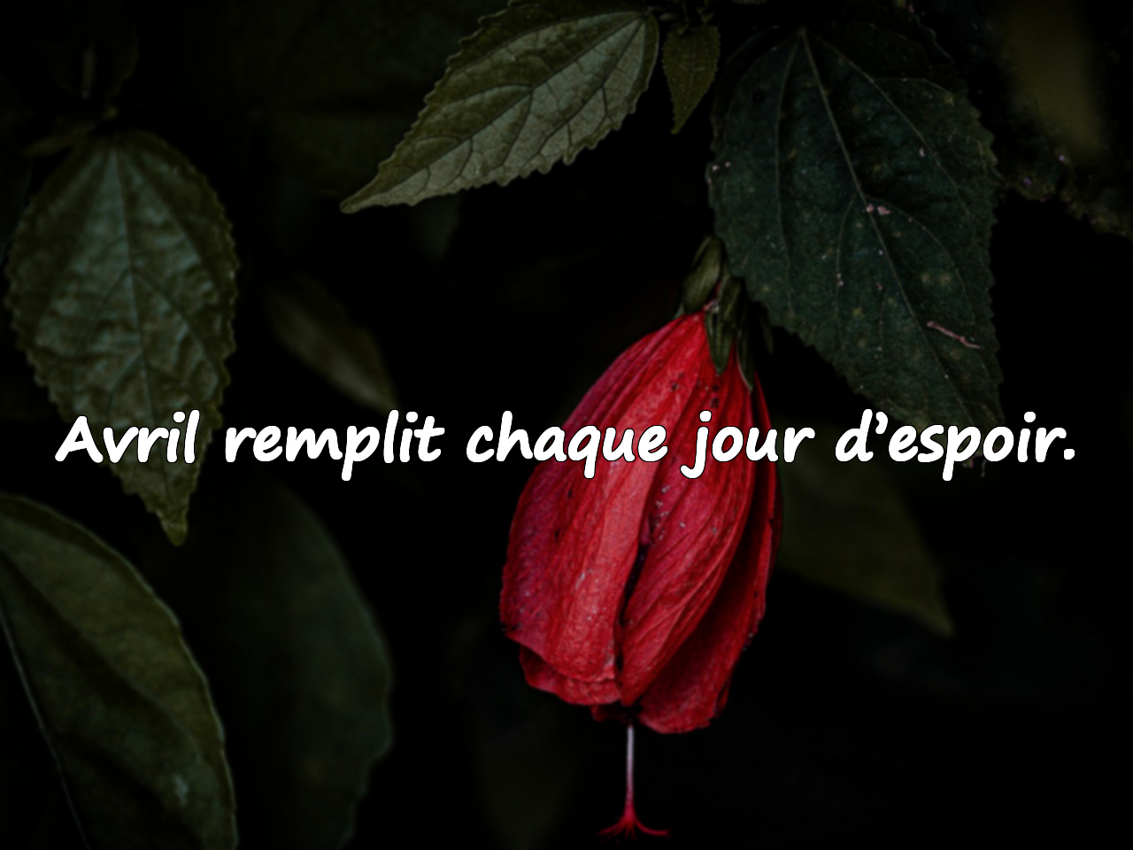 Citations significatives sur le mois d’avril