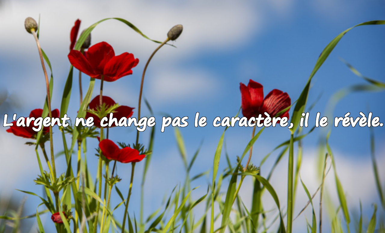 Citations sur l’Argent