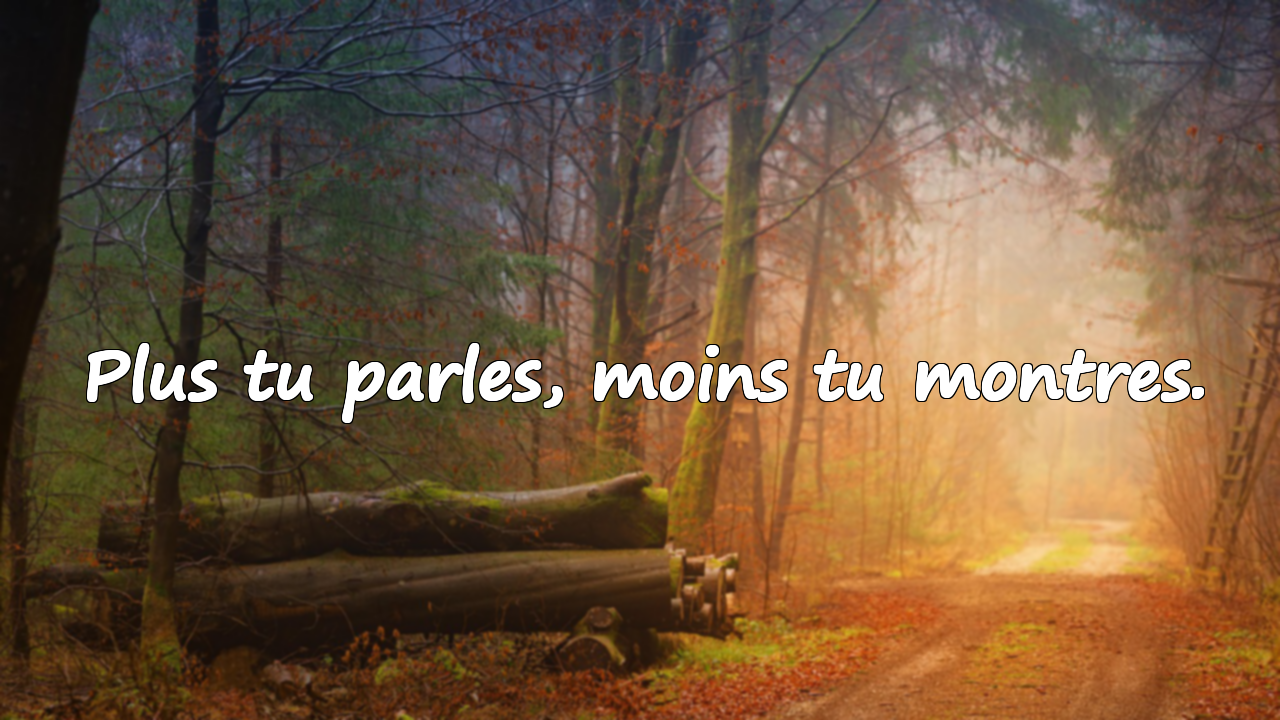 Citations sur l’Arrogance