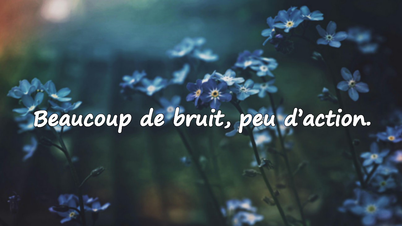 Citations sur l’Arrogance